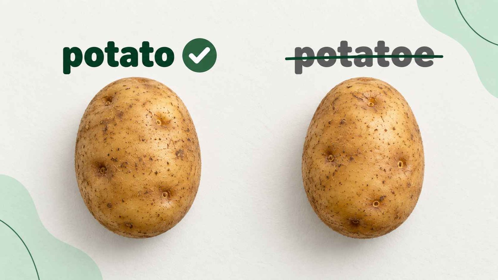 Two potatoes on a white surface, one beside a correct checkmark and one beside a crossed out incorrect spelling