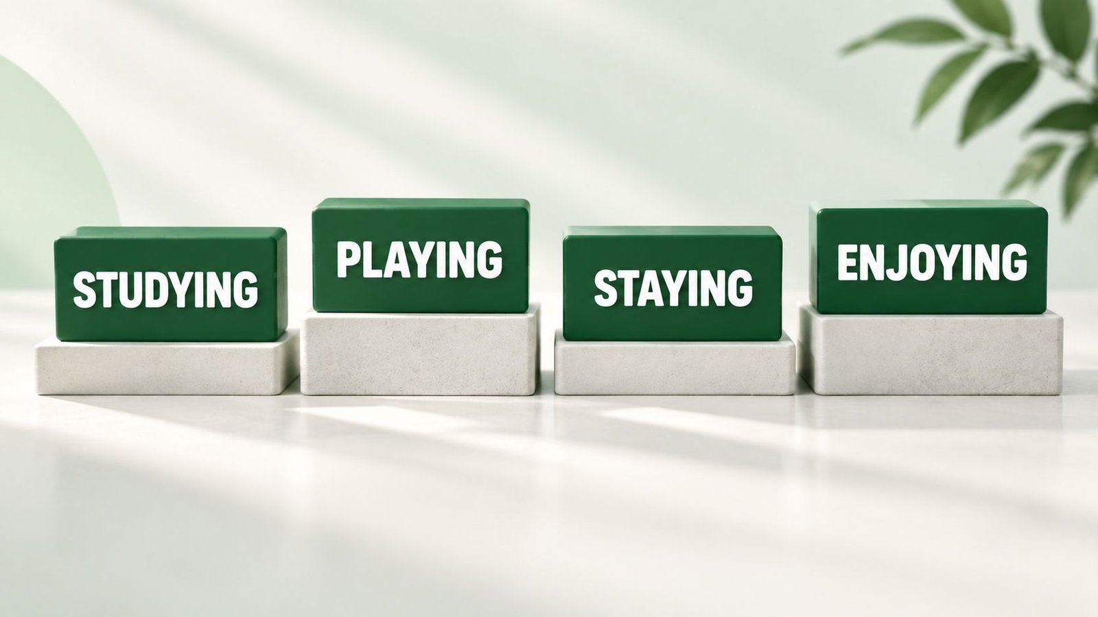 Word comparison pedestal displaying studying playing staying and enjoying together