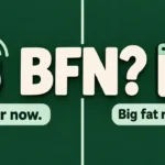 BFN meaning in text shown as a two-sided graphic: bye for now and big fat negative