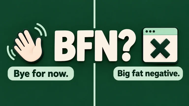 BFN meaning in text shown as a two-sided graphic: bye for now and big fat negative