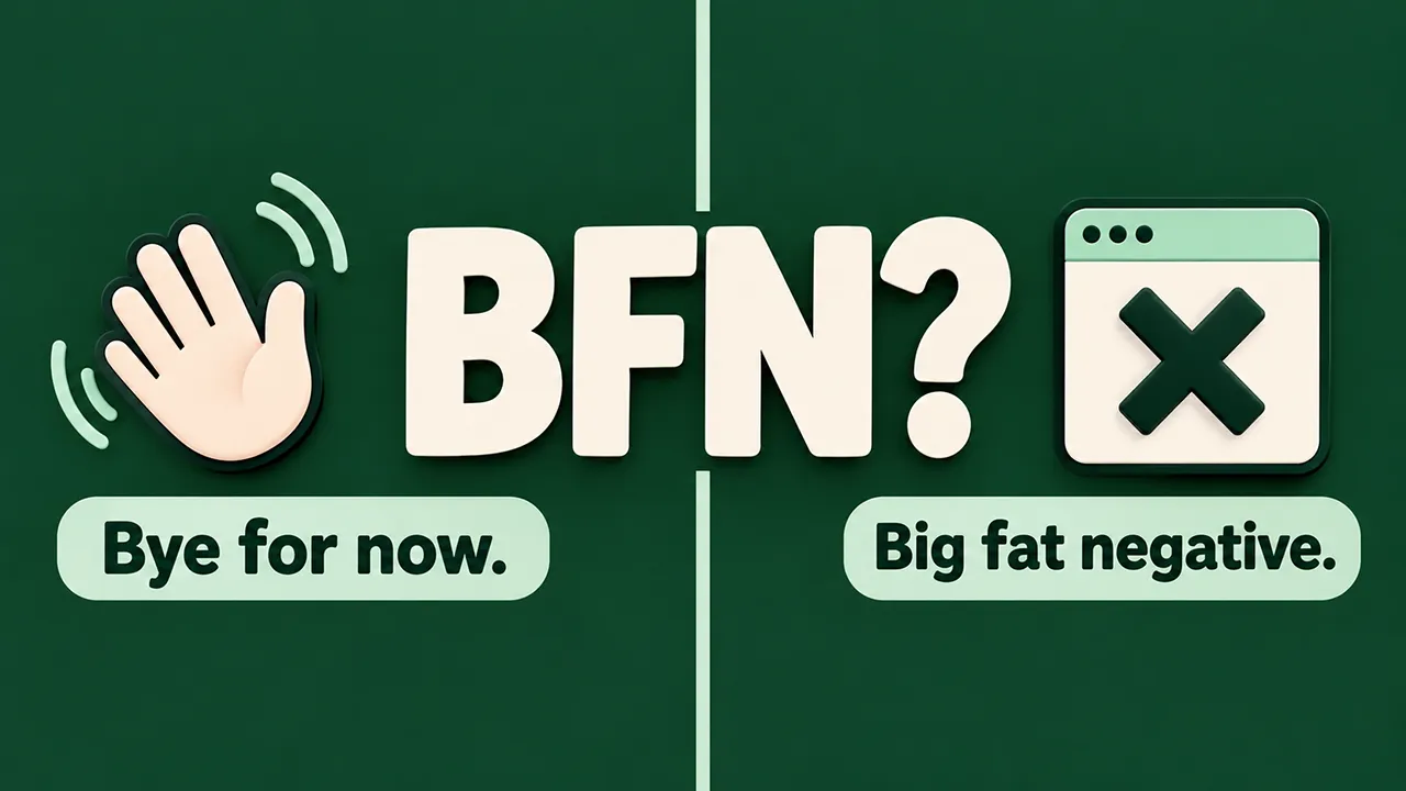 BFN meaning in text shown as a two-sided graphic: bye for now and big fat negative